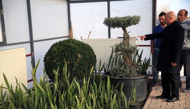 KOCASİNAN´IN FİDANLIĞI