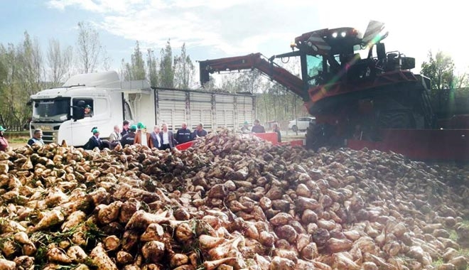 TURHAL ŞEKER ÇİFTÇİLERİNE