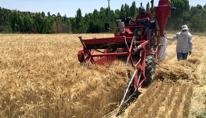 KAYSERİ ŞEKER, COĞRAFİ ŞARTLARA UYGUN