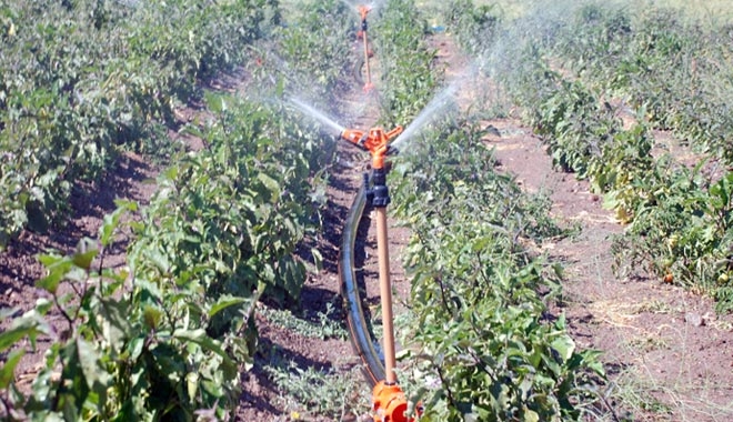 TARIMA MELİKGAZİ DESTEĞİ