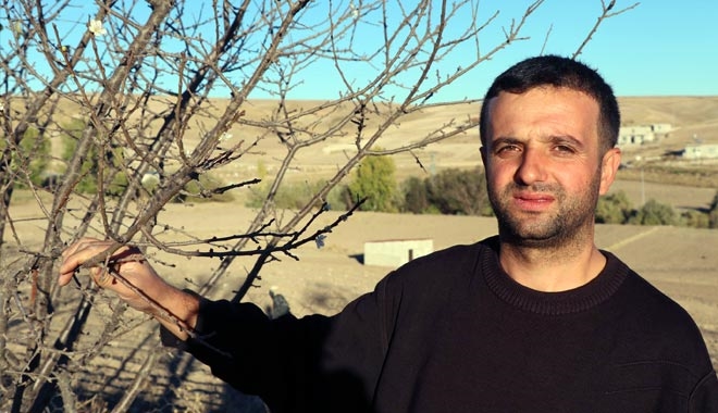 BAHÇESİNDEKİ ERİK AĞACI