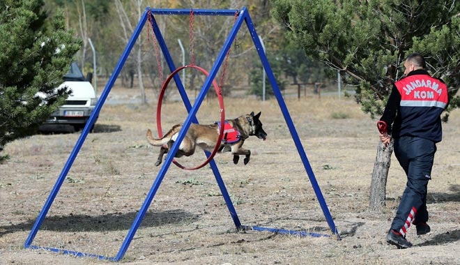 JANDARMANIN EN BÜYÜK YARDIMCISI
