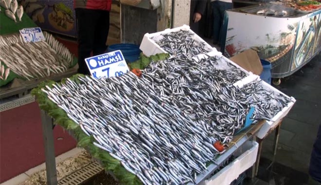 HAMSİ´NİN KULAĞINA KAR KAÇTI!