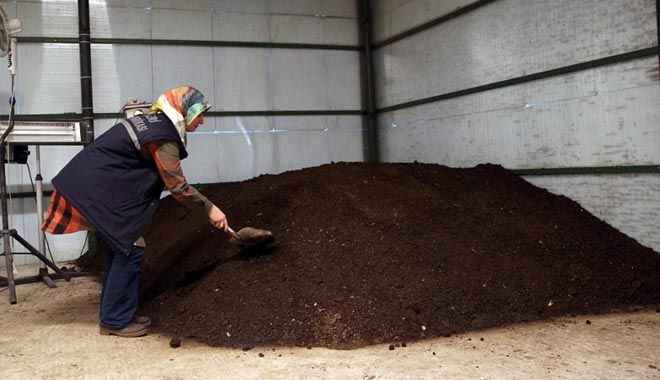 FABRİKA ATIKLARI SOLUCAN GÜBRESİNE DÖNÜŞTÜRÜLÜYOR