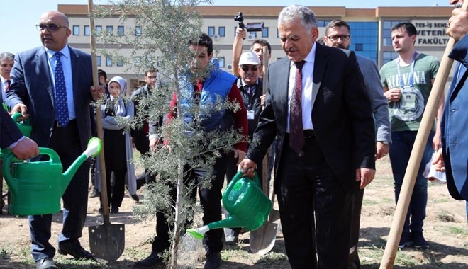 NİKAH ŞEKERİ YERİNE