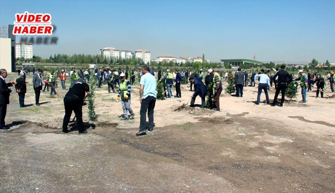 DAHA YEŞİL KAYSERİ İÇİN BİN ADET FİDAN DİKİLDİ