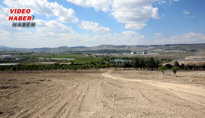 BÜYÜKŞEHİR´DEN YEŞİL ŞENLİK