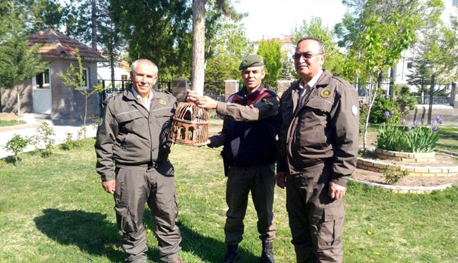 JANDARMADAN KEKLİK AVCISINA