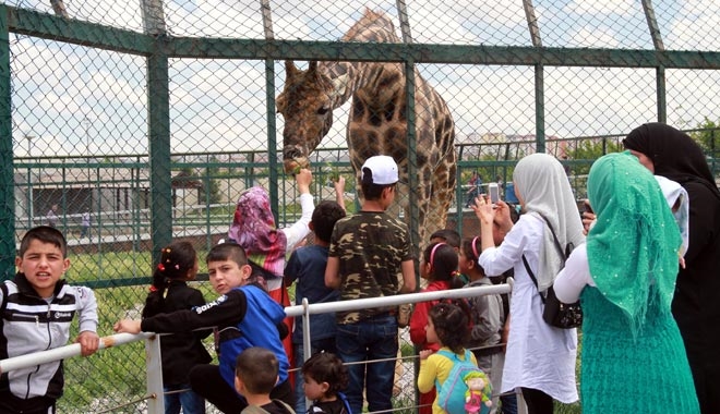 KAYSERİ HAYVANAT BAHÇESİ´NDE