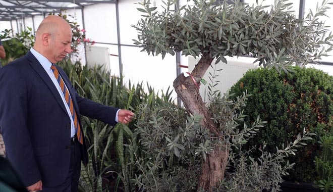 BAŞKAN ÇOLAKBAYRAKDAR, ?KOCASİNAN´IN YEŞİL