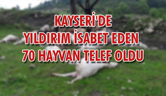 KAYSERİ´DE YILDIRIM İSABET EDEN
