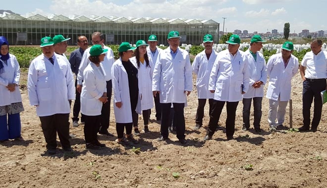 KAYSERİ ŞEKER, AR-GE TARIM ARAZİLERİ