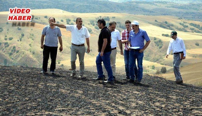 FELAHİYE İLÇESİ´NDE TARLA YANGINI