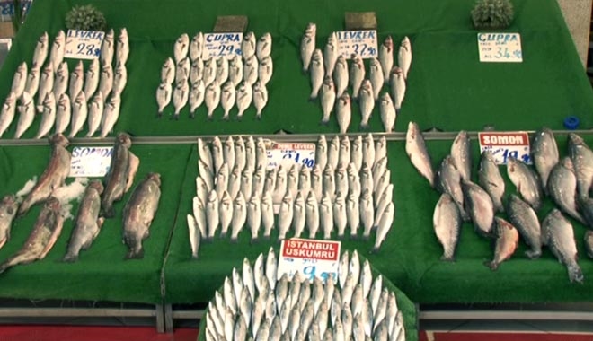 KAYSERİ BALIKÇI ESNAFI