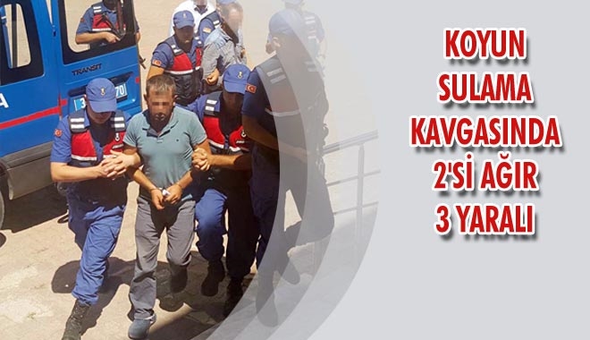 KOYUN SULAMA KAVGASINDA