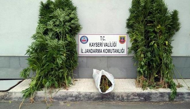 BÜNYAN´DA ESRAR OPERASYONU