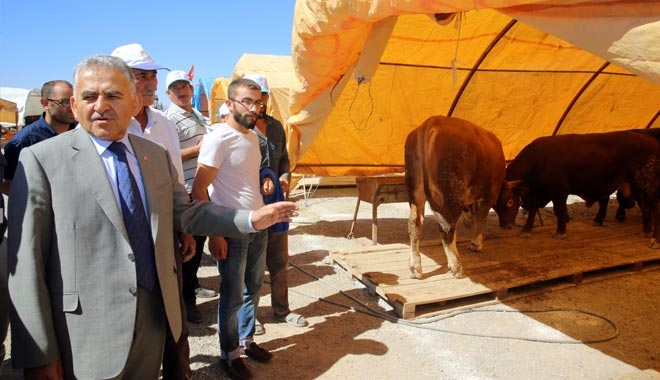 KURBAN PAZARINDA ESNAFLARIN YERİ