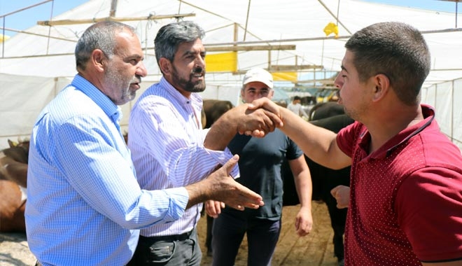 KURBAN PAZARLARINDA HAREKETLİLİK SÜRÜYOR