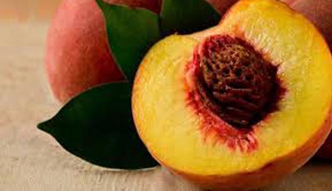 UZMANLAR  TAVSİYE  EDİYOR !