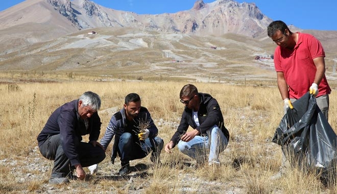 ERCİYES´TEN TOPLANAN TOHUMLAR ERCİYES´E EKİLİYOR