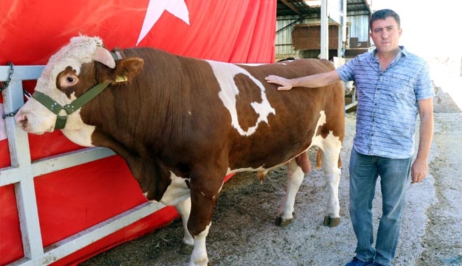 ÜZERİNDE DOĞUŞTAN AY VE YILDIZ OLAN