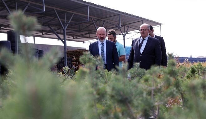 KOCASİNAN YEŞİLLENİYOR,