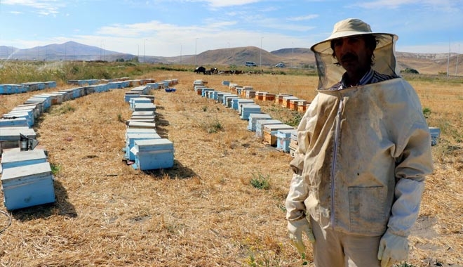KOVANLARININ YANINA GELEN ARICI ŞOK OLDU
