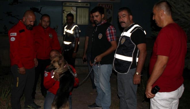 AKUT´UN ÇALINAN KADAVRA KÖPEĞİNİ 