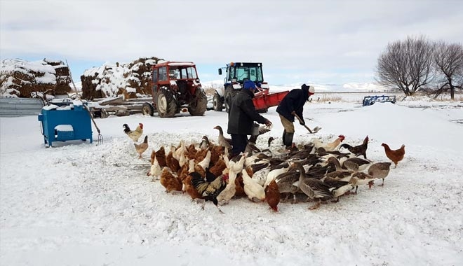 SULTAN SAZLIĞINDA KIŞ VE YAŞAM