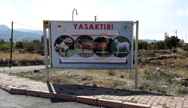 KAYSERİ´DE ´TEHLİKELİ KÖPEK´ UYARISI