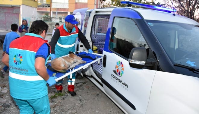 KOCASİNAN´DAN 2 YILDA 4 BİN 54 MÜDEHALE