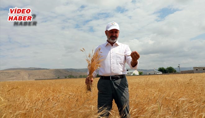 10 BİN YILLIK TOHUMLAR KOCASİNAN´DA FİLİZLENECEK