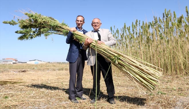 YAHYALILI ÇİFTÇİLERE KENEVİR ÜRETİMİ ANLATILDI