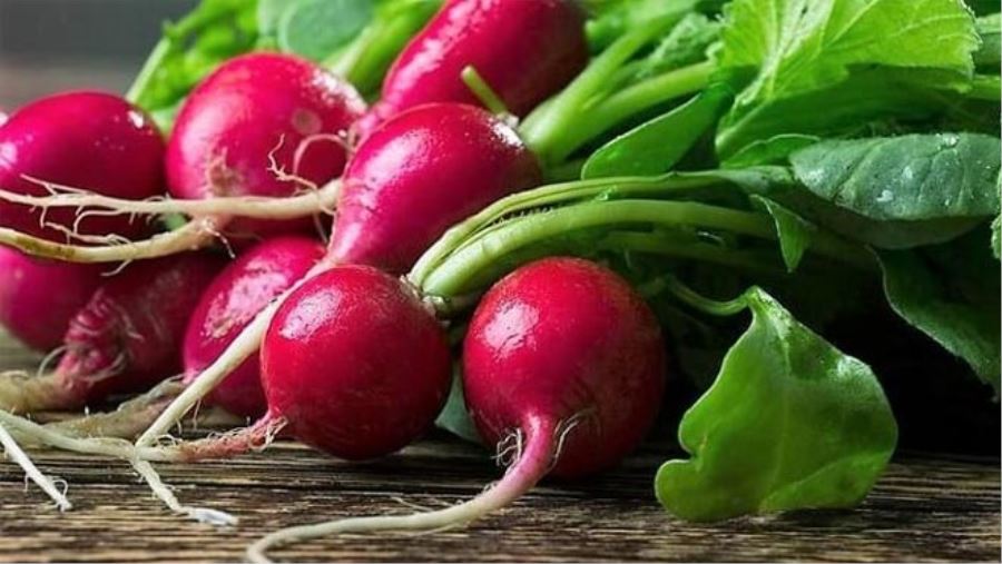 BOL BOL TURP TÜKETİN, TURP GİBİ OLUN