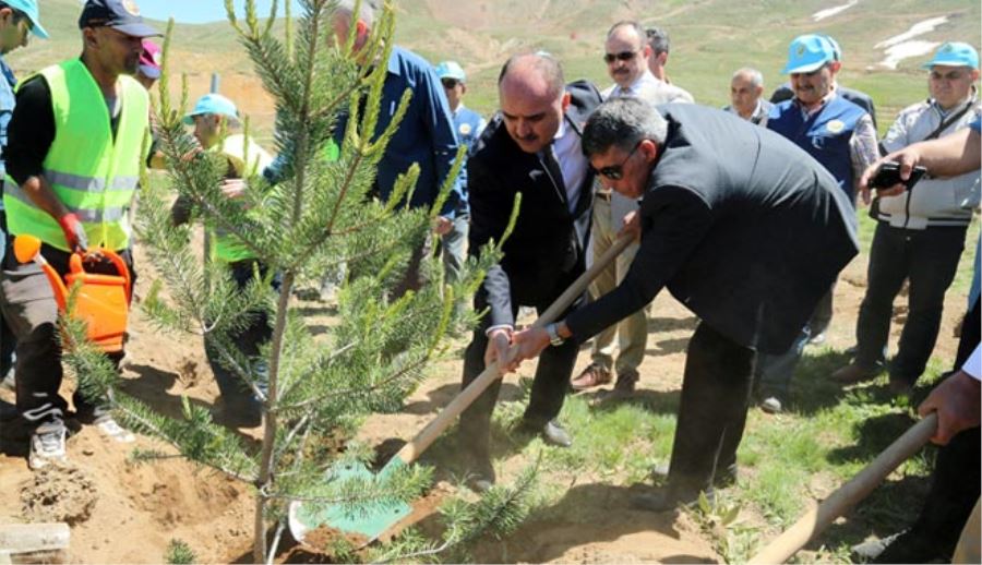 VALİ GÜNAYDIN’DAN FİDAN DİKİMİNE DAVET