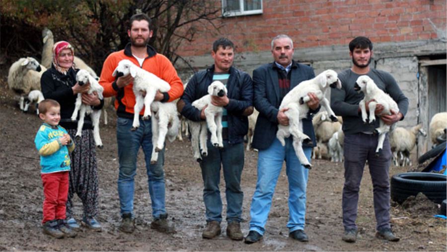 HAYVANCILIKLA GEÇEN ÖMÜRLER