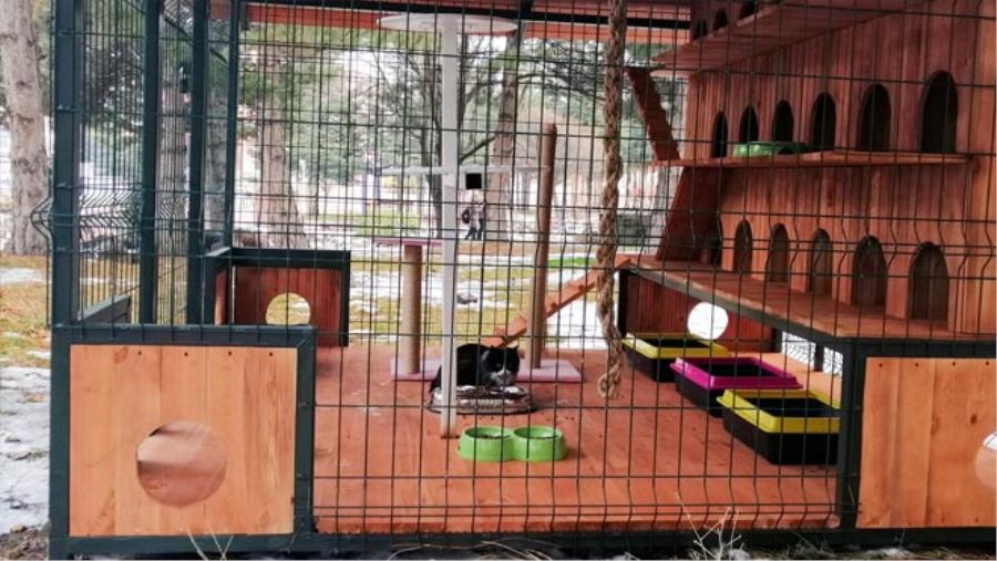 SOKAK KEDİLERİ İÇİN SIĞINMA VE BESLENME EVİ