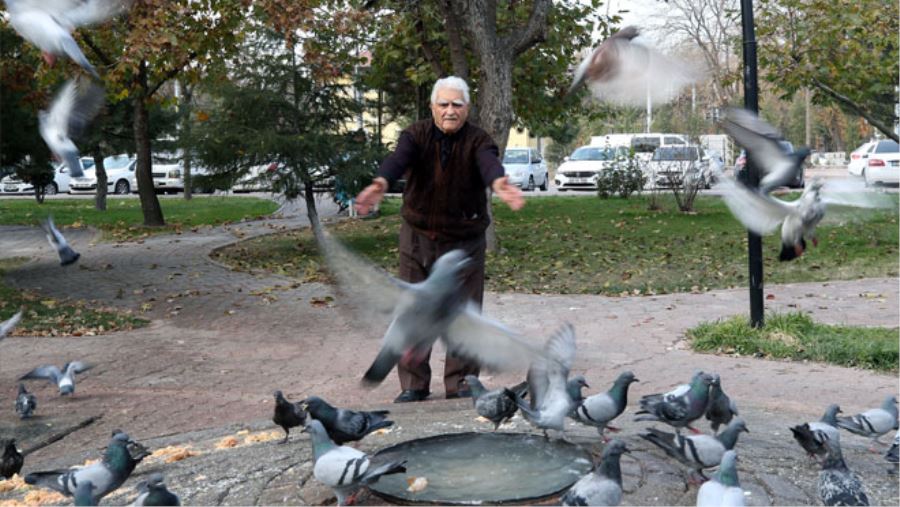 KORE GAZİSİ FAHRİ DEDE GÜVERCİNLERİN CAN DOSTU OLDU