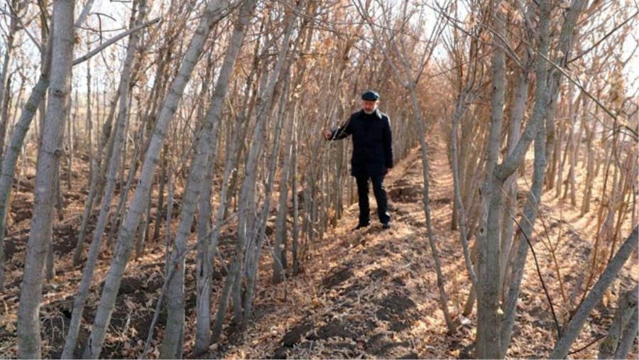 KOCASİNAN’DA KURU YAPRAKLAR ORGANİK GÜBREYE DÖNÜŞÜYOR