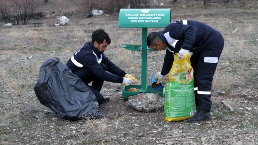 TALAS, YABAN HAYVANLARINI UNUTMADI