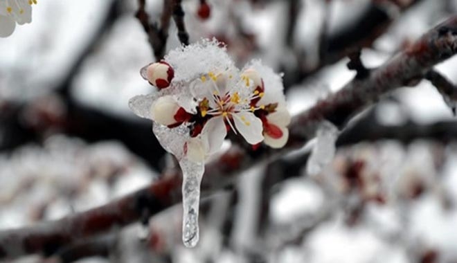 METEOROLOJİ BÖLGE MÜDÜRLÜĞÜ´NDEN