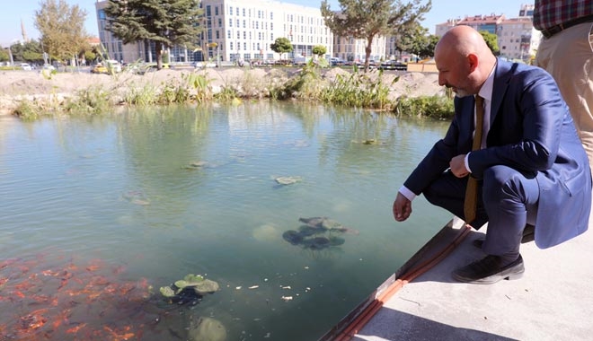 KAYSERİLİLERİN KEYİF ALACAĞI BİR KOCASİNAN