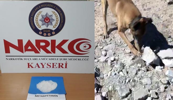 NARKOTİK KÖPEĞİ ´KAMA´