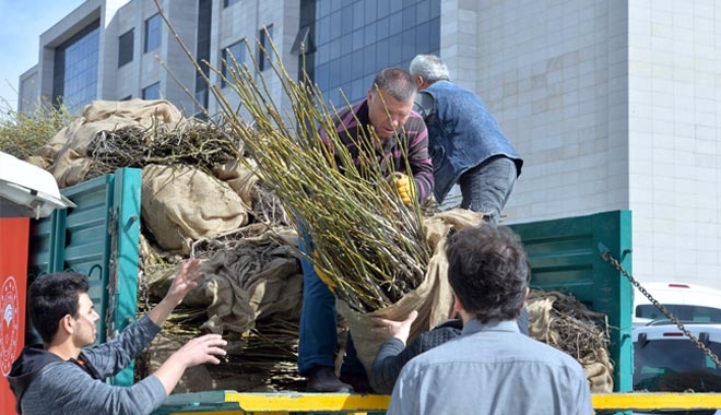 İL TARIM VE ORMAN MÜDÜRLÜĞÜ 47 BİN FİDAN DAĞITTI