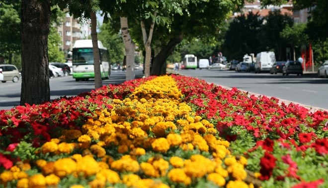 MELİKGAZİ YİNE ÇİÇEK AÇACAK