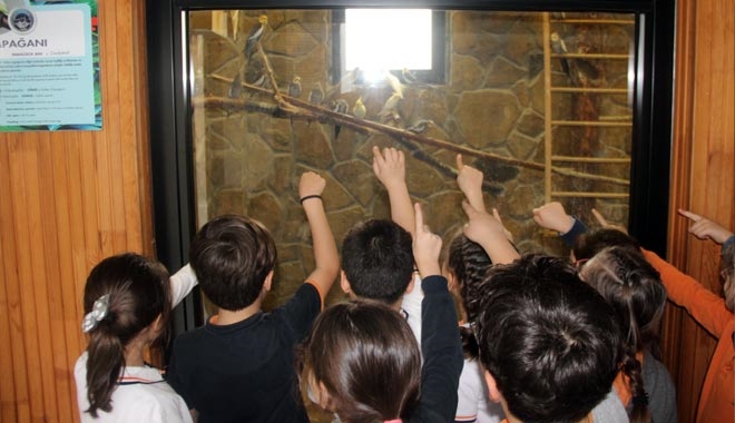 HAYVANAT BAHÇESİNE ZİYARETÇİ AKINI