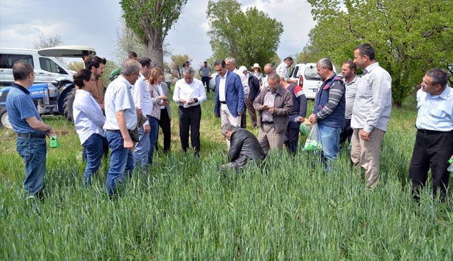 SÜNE İLE MÜCADELE İÇİN