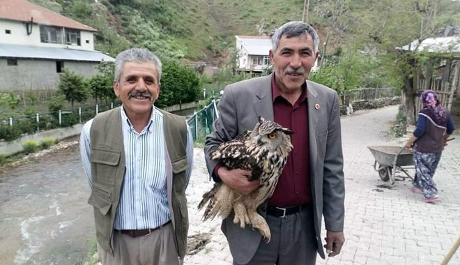 YARALI PAHU KUŞU YETKİLİLERE TESLİM EDİLDİ