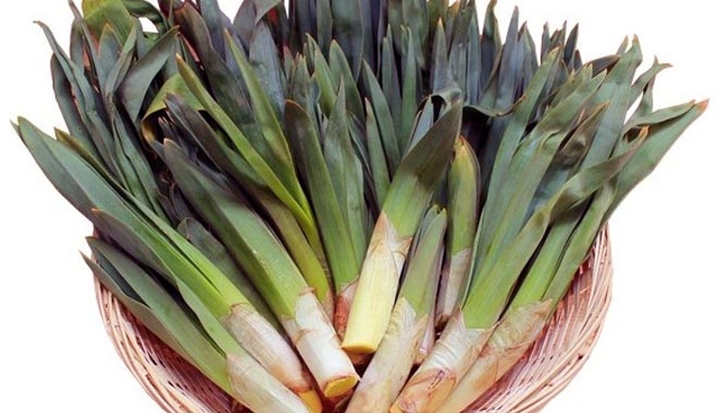 DİKKAT UZMANLAR UYARIYOR