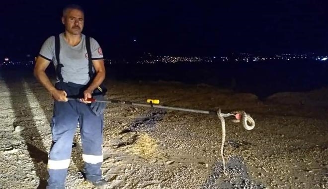 TERMİNALDE YILAN PANİĞİ YAŞANDI